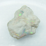 水に浸けて撮影しています