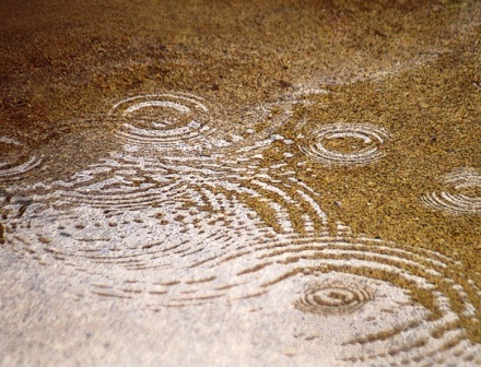 秋雨。。。