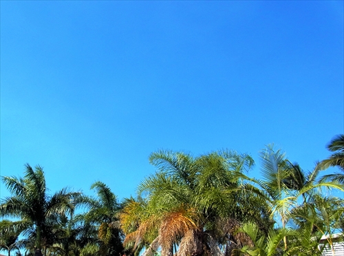 オーストラリアの空