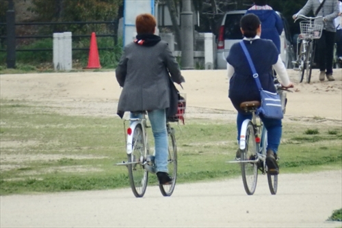 自転車