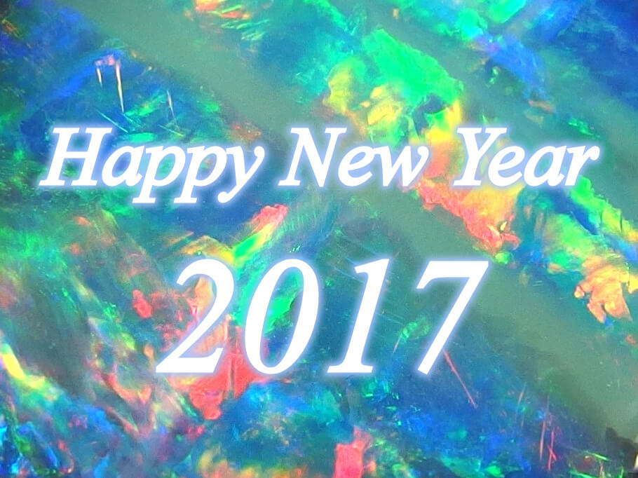 Happy New Year 2017 ！！！