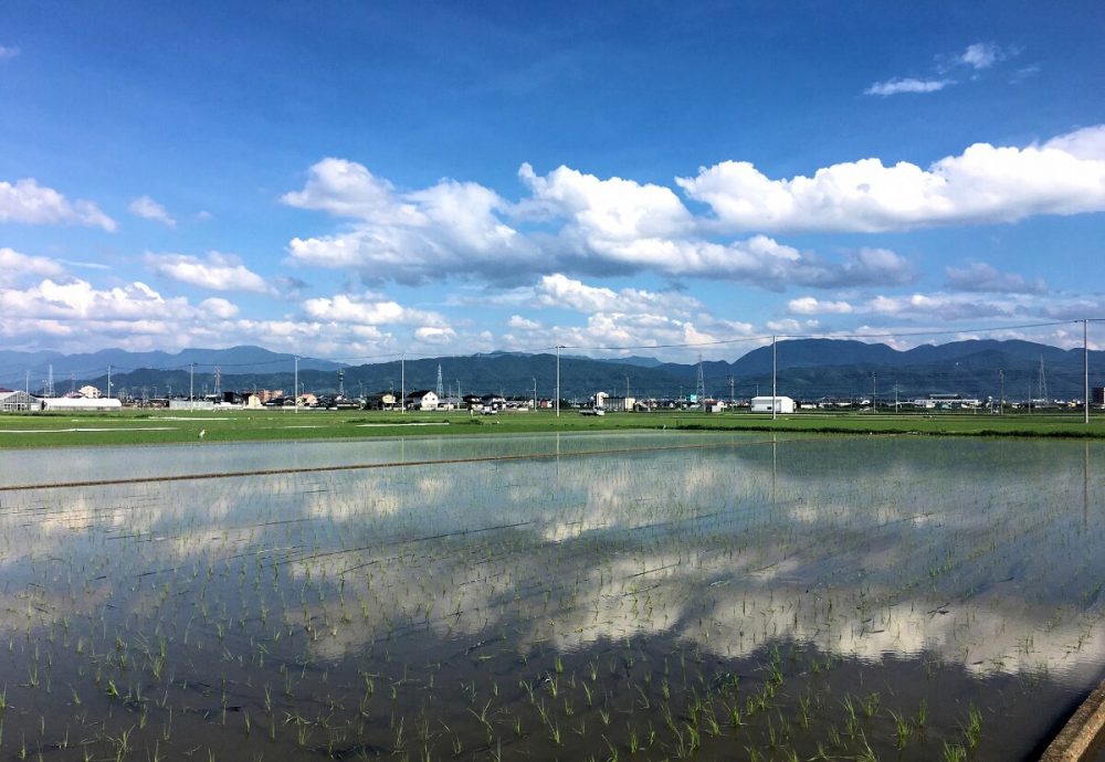 田園風景 。。。