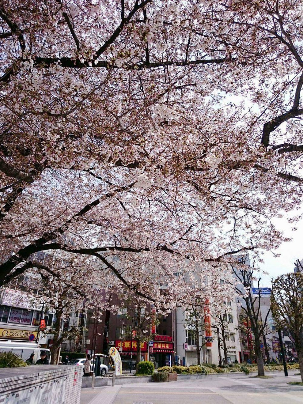 大宮、最終日 ！！